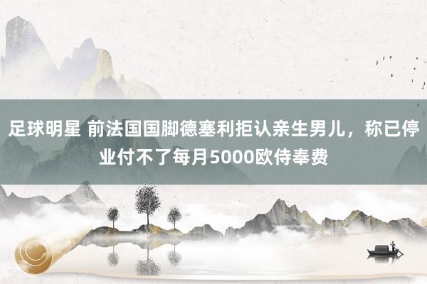 足球明星 前法国国脚德塞利拒认亲生男儿，称已停业付不了每月5000欧侍奉费