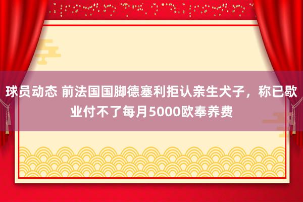 球员动态 前法国国脚德塞利拒认亲生犬子，称已歇业付不了每月5000欧奉养费