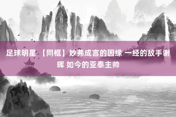 足球明星 【同框】妙弗成言的因缘 一经的敌手谢晖 如今的亚泰主帅