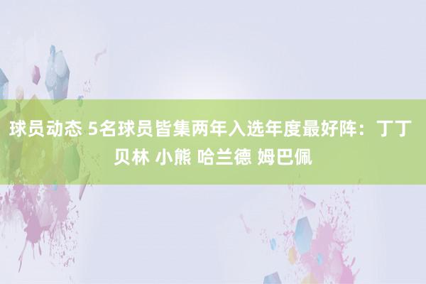 球员动态 5名球员皆集两年入选年度最好阵：丁丁 贝林 小熊 哈兰德 姆巴佩